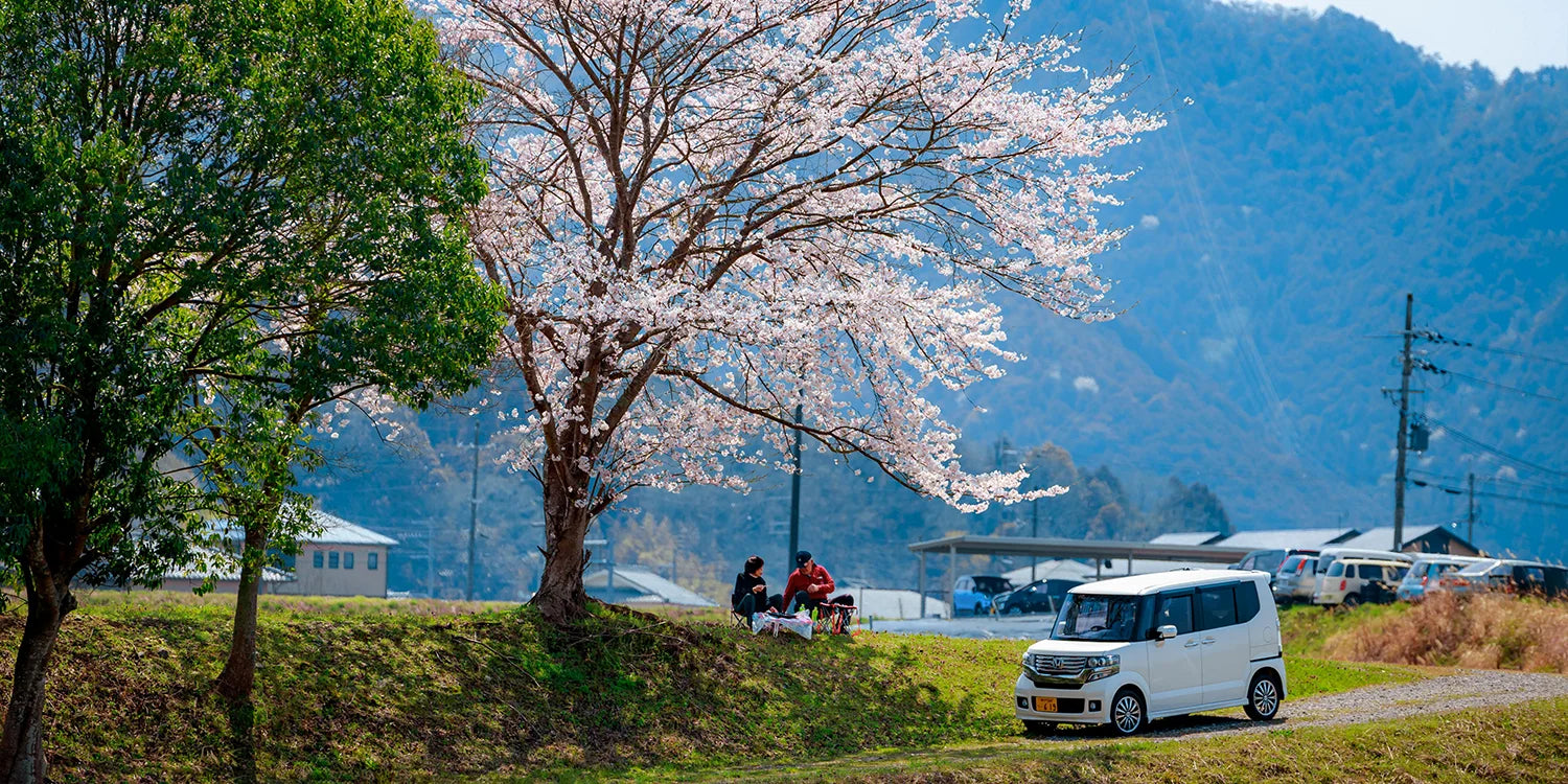How's spring for car owners in Japan? Hanami, Asian Dust, and more fun facts!